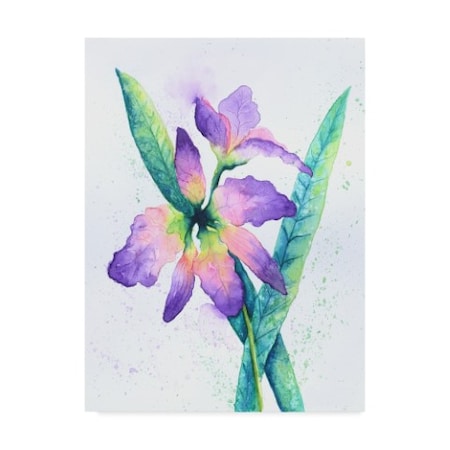 Michelle Faber 'Purple Orchid On White' Canvas Art,14x19